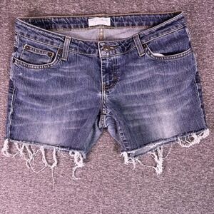 American Eagle Outfitters Distressed Denim Shorts